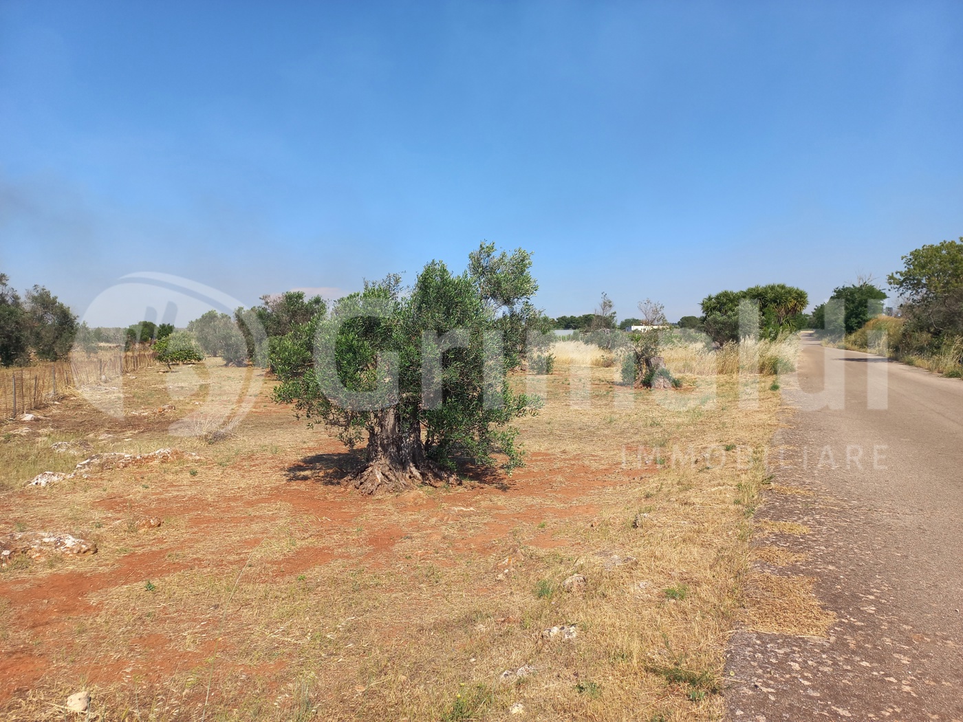 Terreno Agricolo in vendita a Ugento
