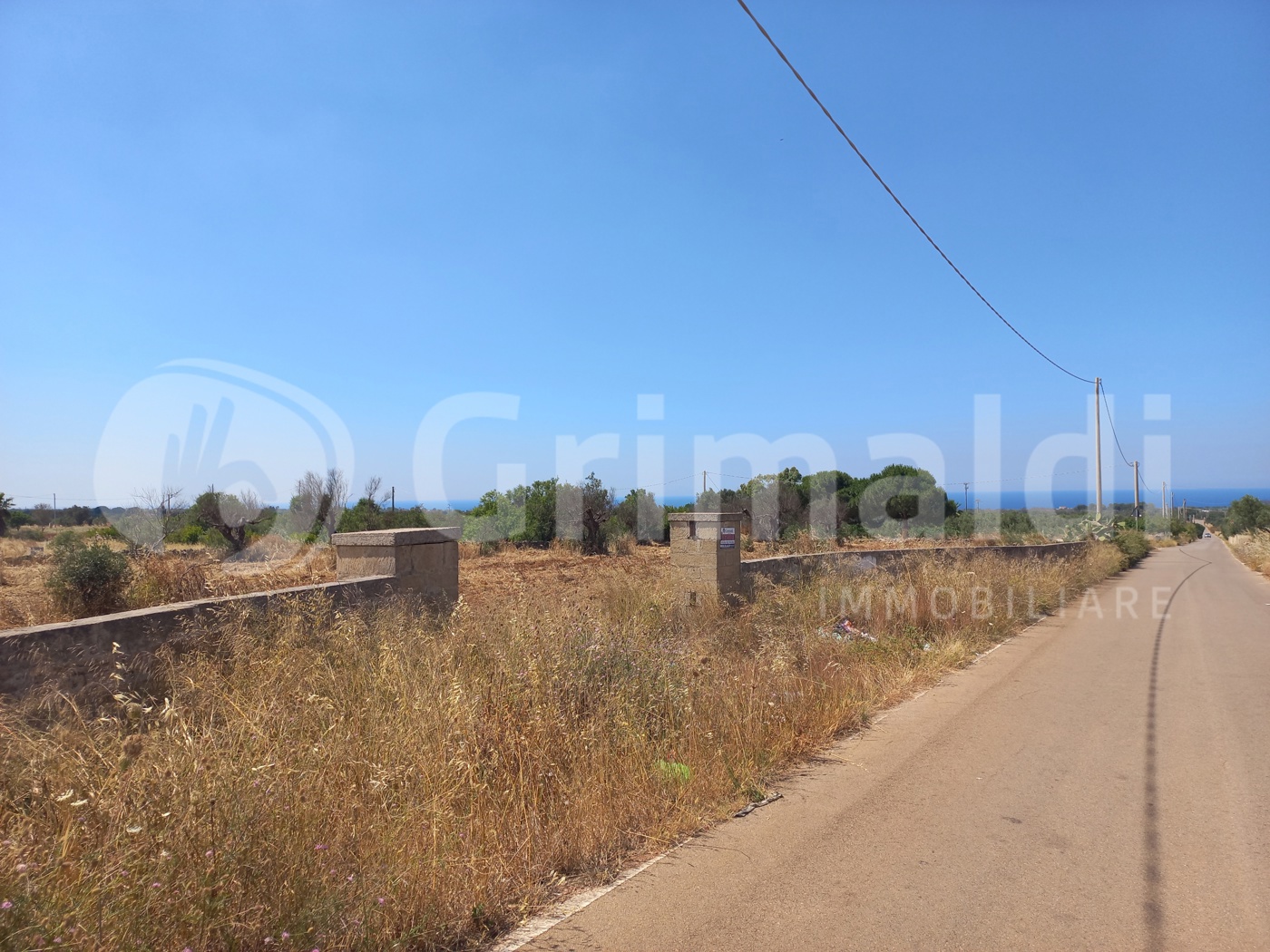 Terreno Agricolo in vendita a Alliste