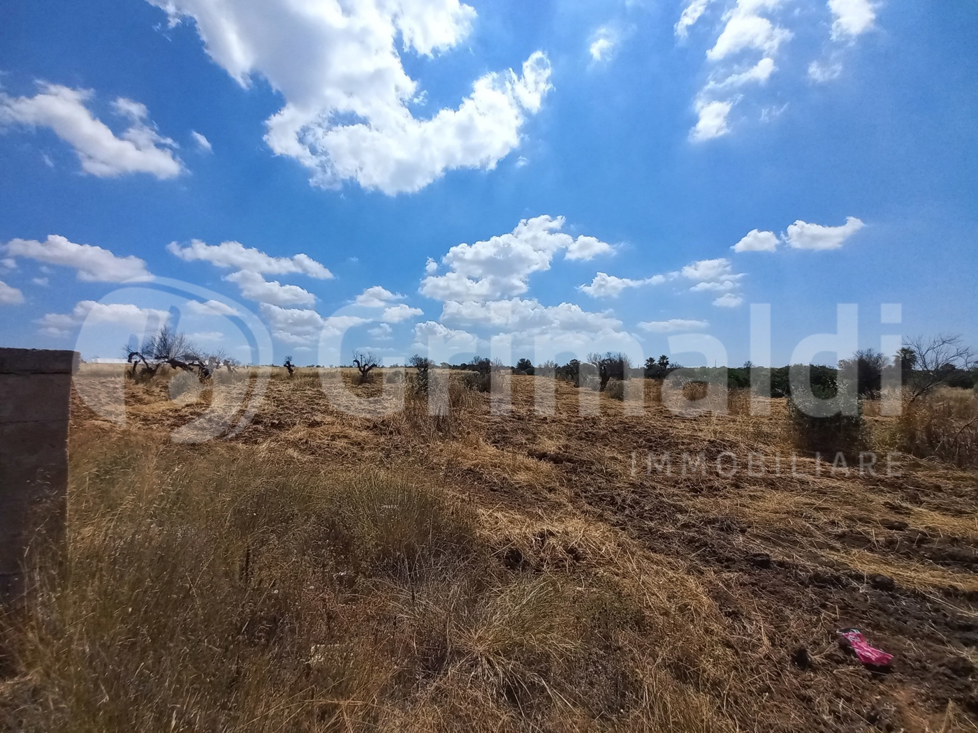 Terreno Agricolo in vendita a Alliste
