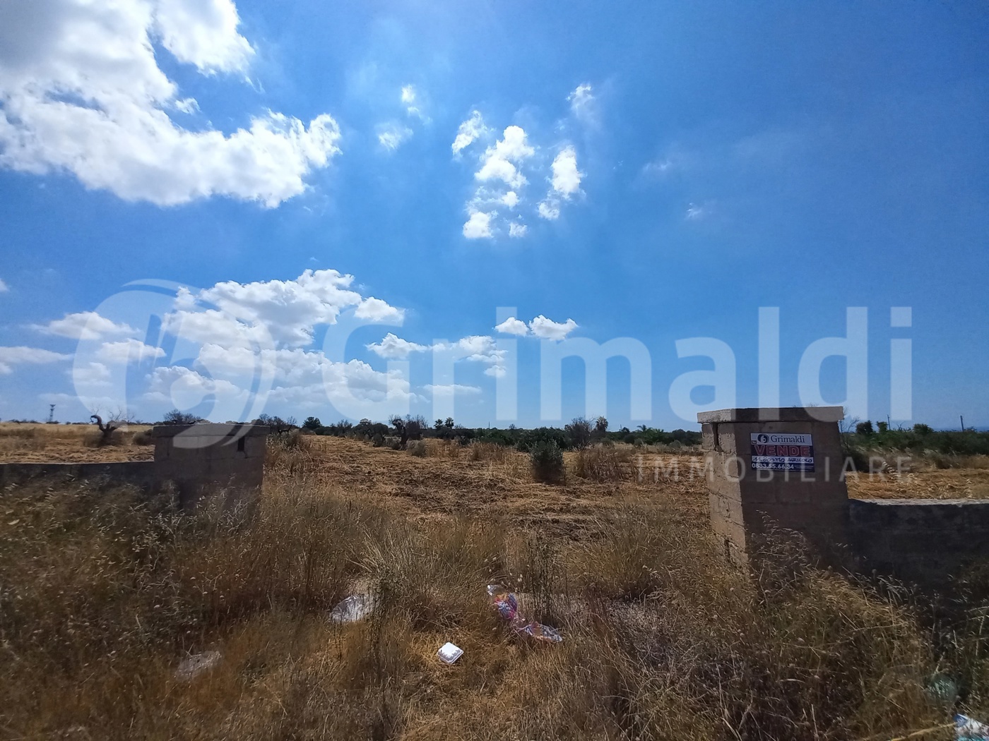 Terreno Agricolo in vendita a Alliste