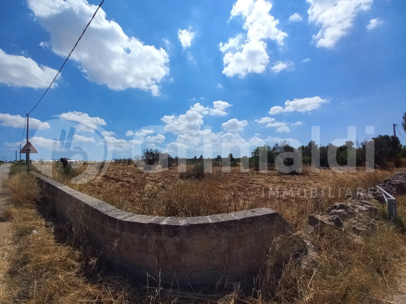 Terreno Agricolo in vendita a Alliste