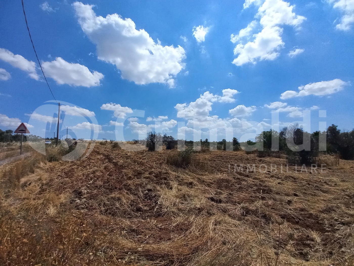 Terreno Agricolo in vendita a Alliste