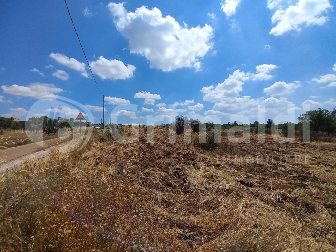 Terreno Agricolo in vendita a Alliste