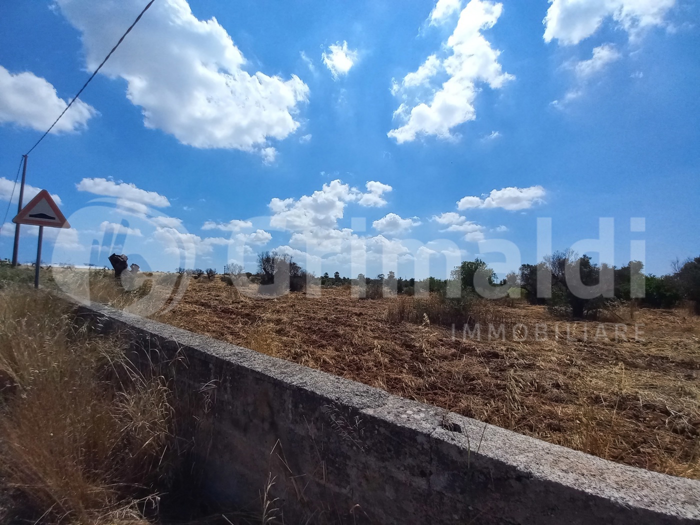 Terreno Agricolo in vendita a Alliste