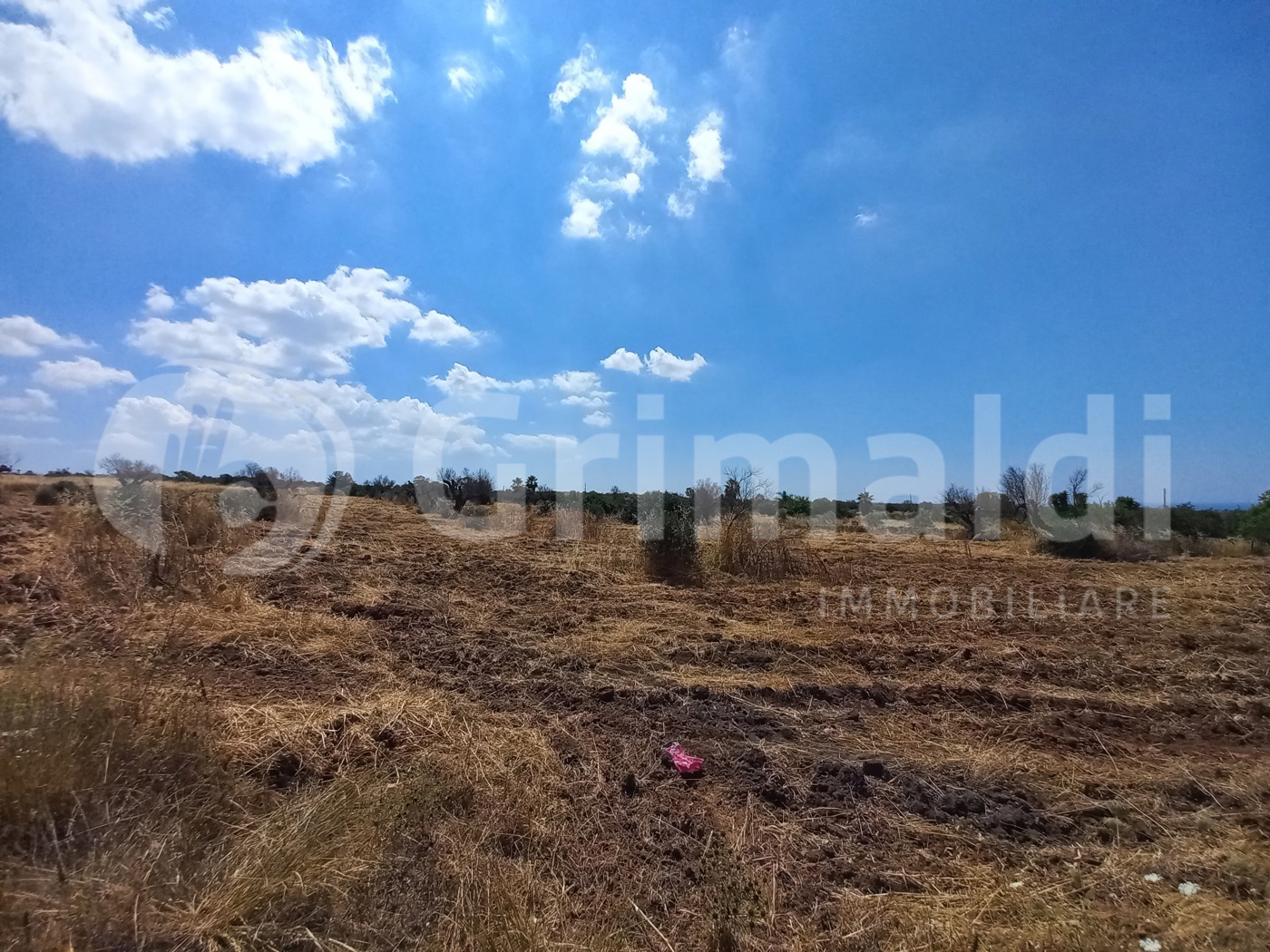 Terreno Agricolo in vendita a Alliste