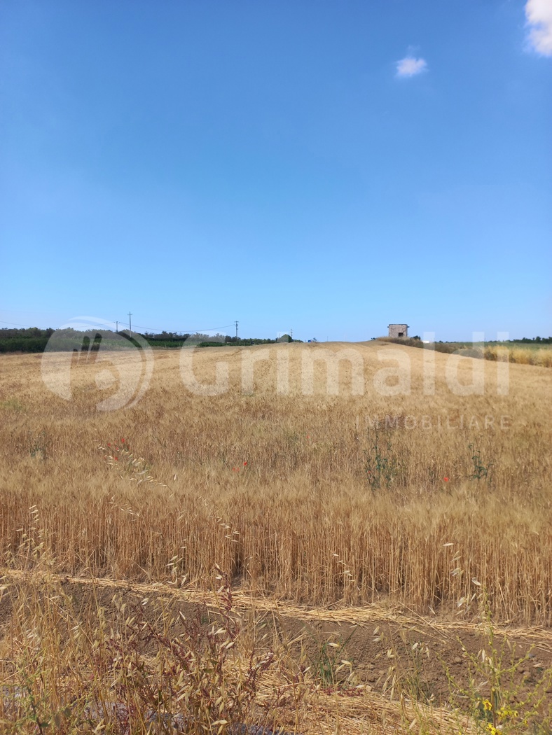 Terreno Agricolo in vendita a Ugento