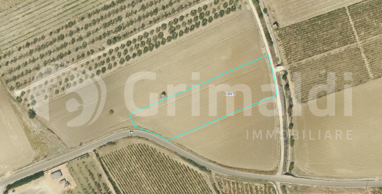 Terreno Agricolo in vendita a Ugento