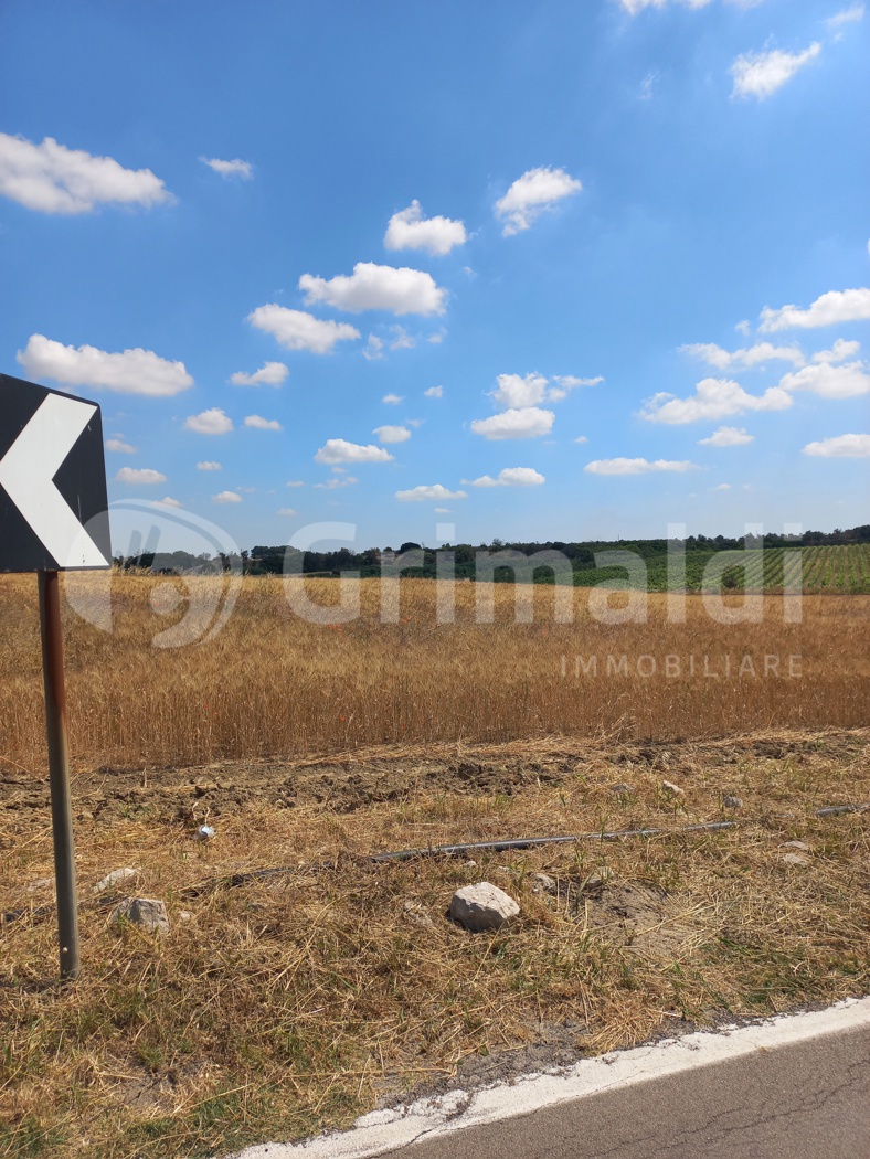 Terreno Agricolo in vendita a Ugento