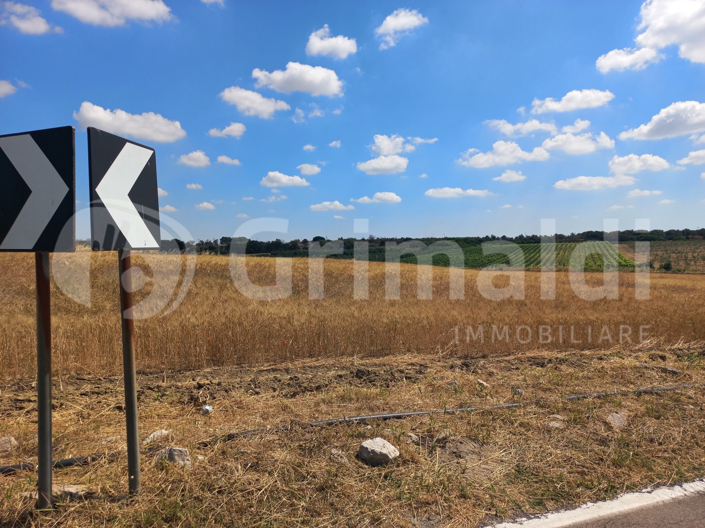 Terreno Agricolo in vendita a Ugento