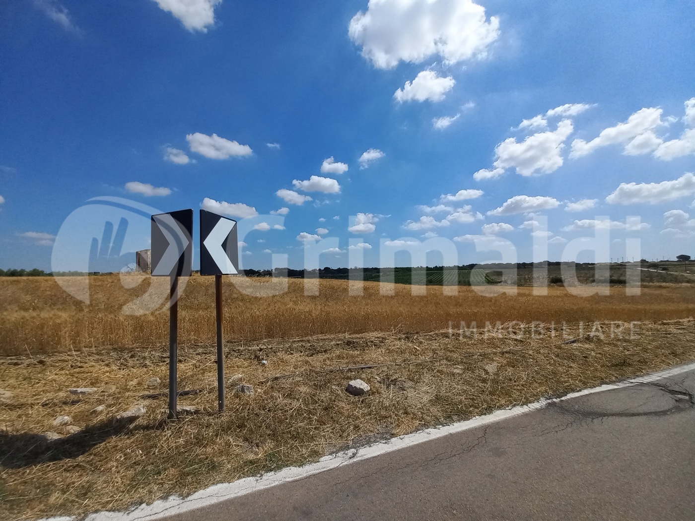 Terreno Agricolo in vendita a Ugento