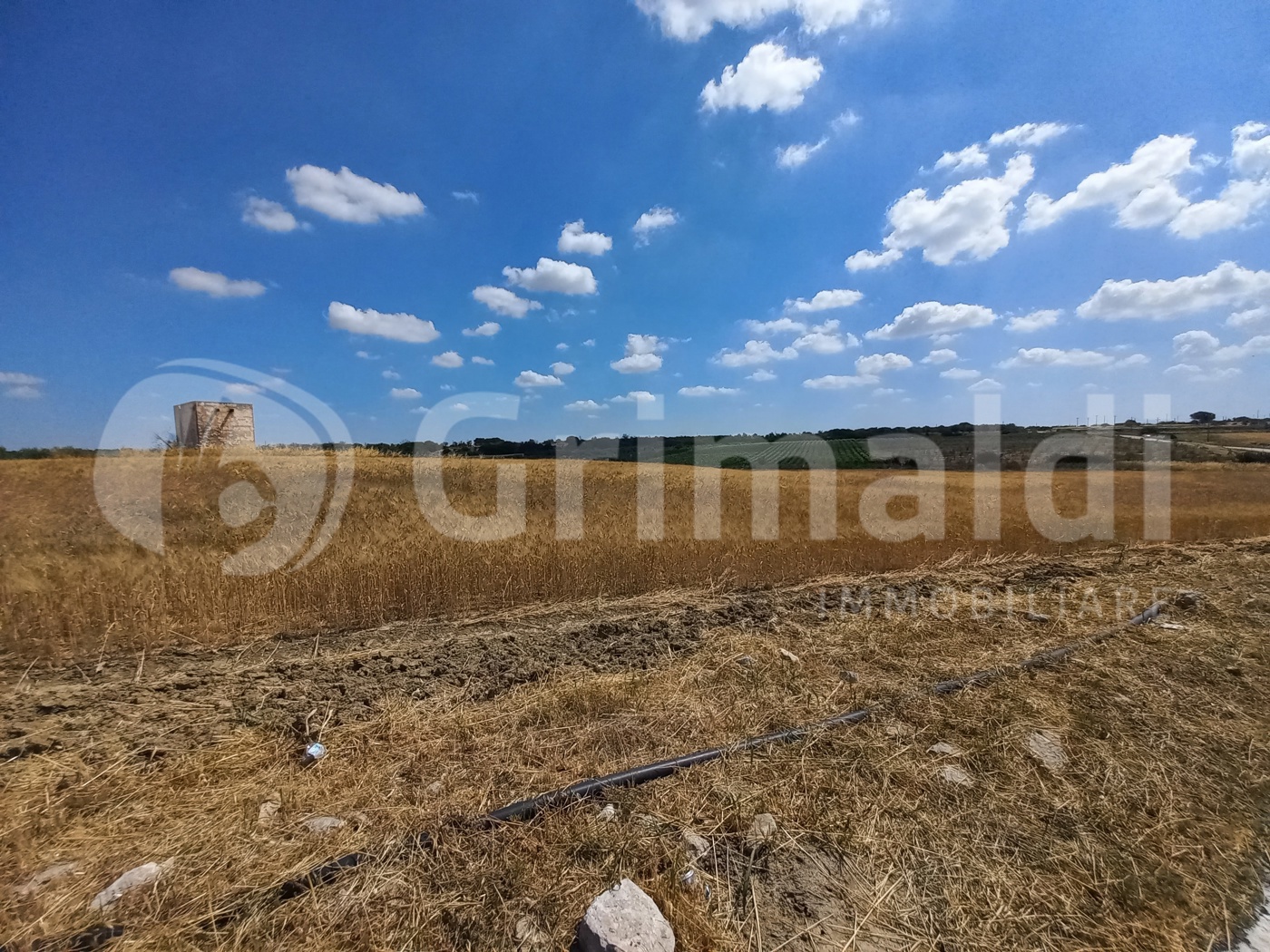 Terreno Agricolo in vendita a Ugento