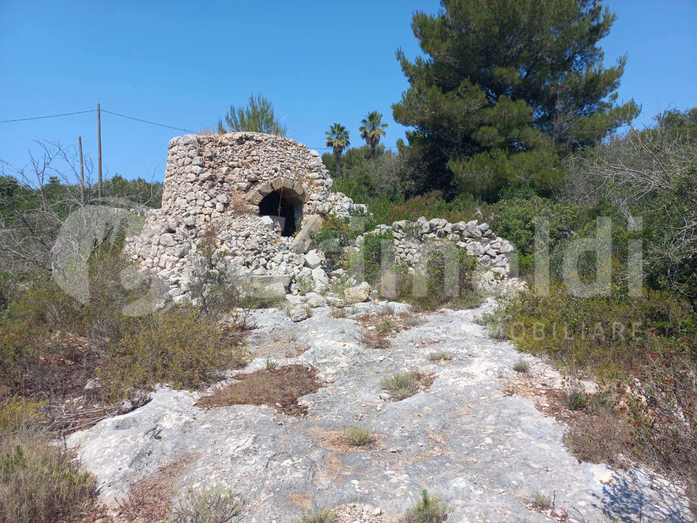 Terreno Agricolo vista mare a Ugento