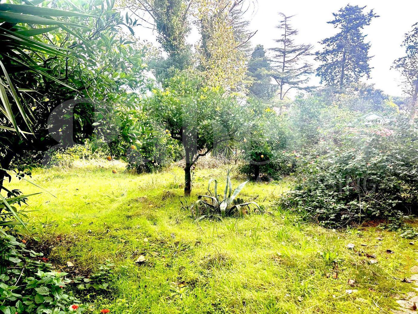 Appartamento con giardino a Fondi