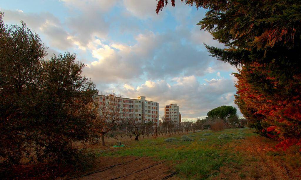 Rustico in vendita a Quartu Sant'Elena