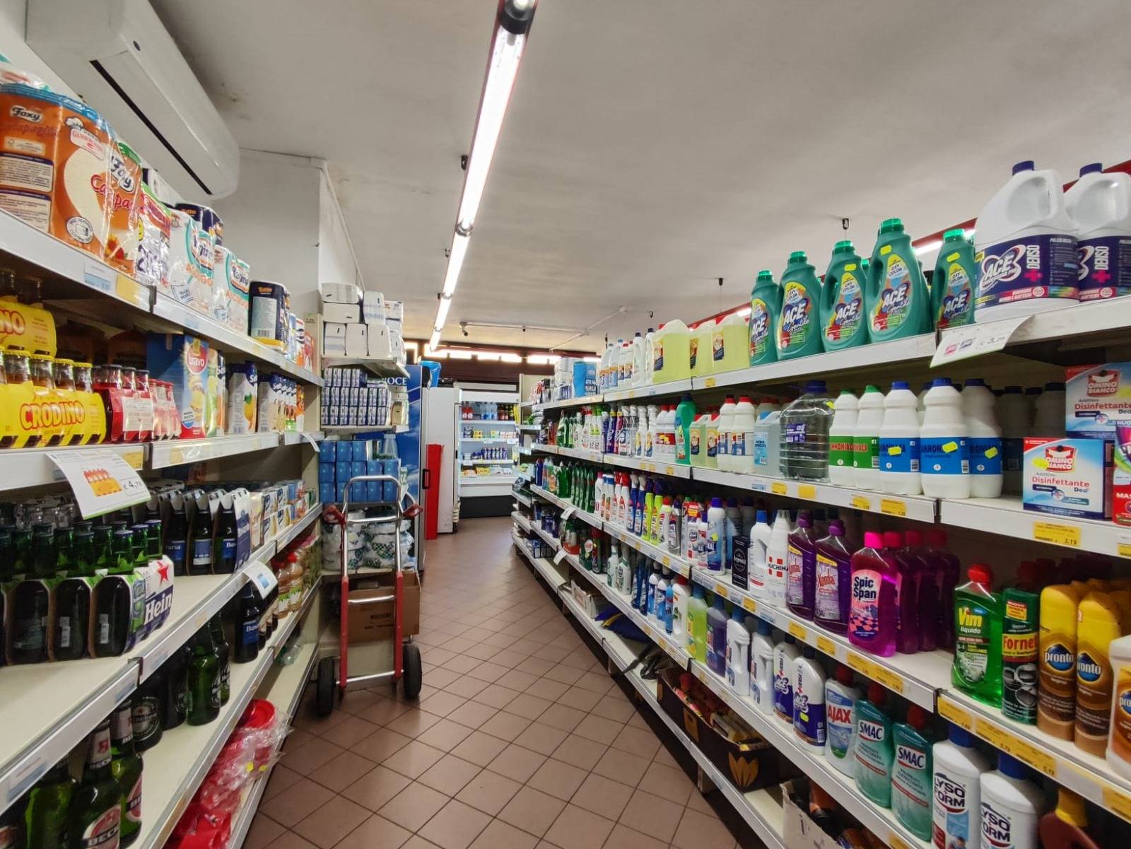 immagine annuncio 6 di 10