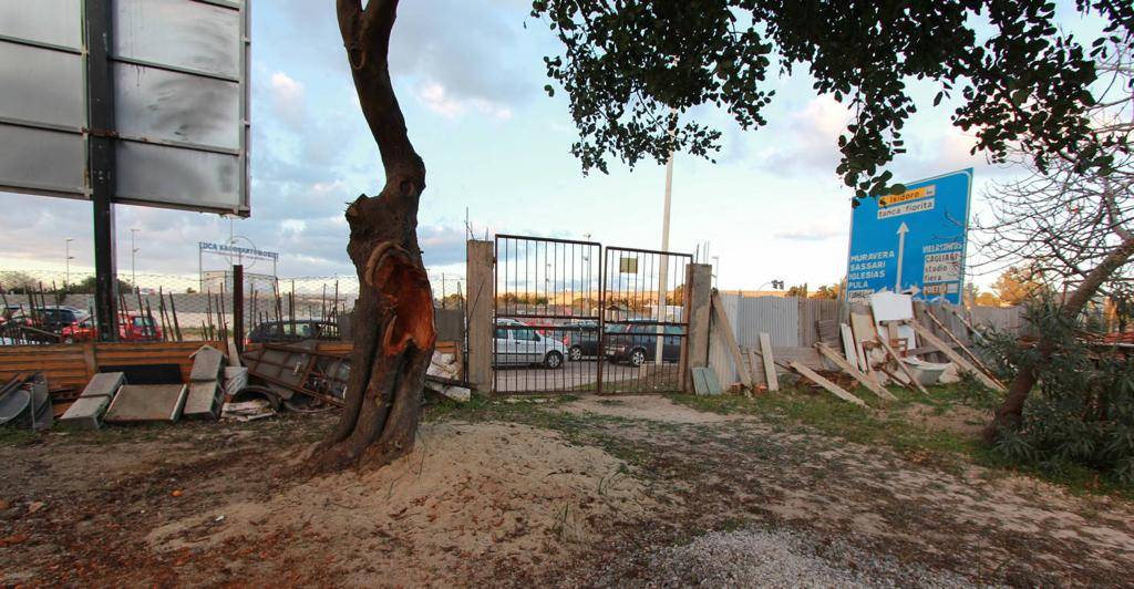 immagine annuncio 5 di 10