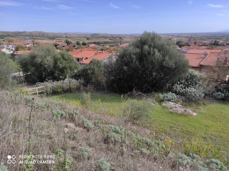 Terreno edificabile in vendita a Sardara