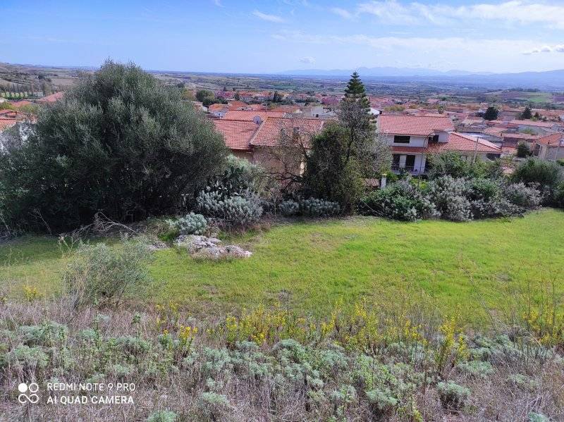 Terreno edificabile in vendita a Sardara