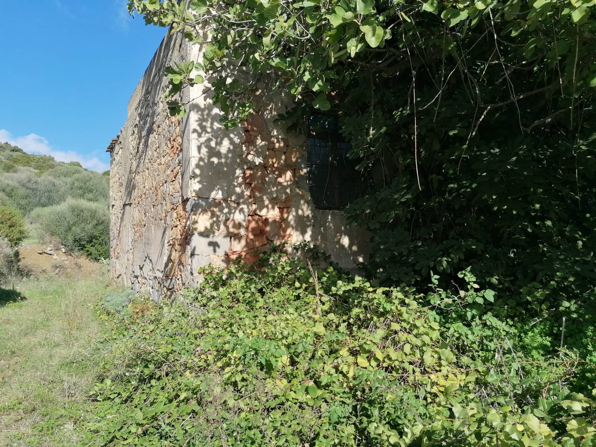 Terreno edificabile in vendita a Sardara