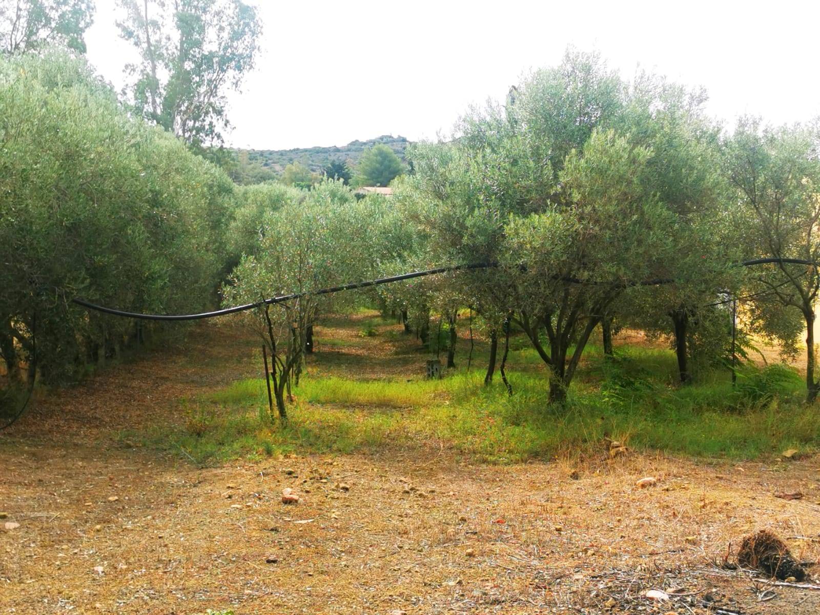 Terreno Agricolo in vendita a Maracalagonis