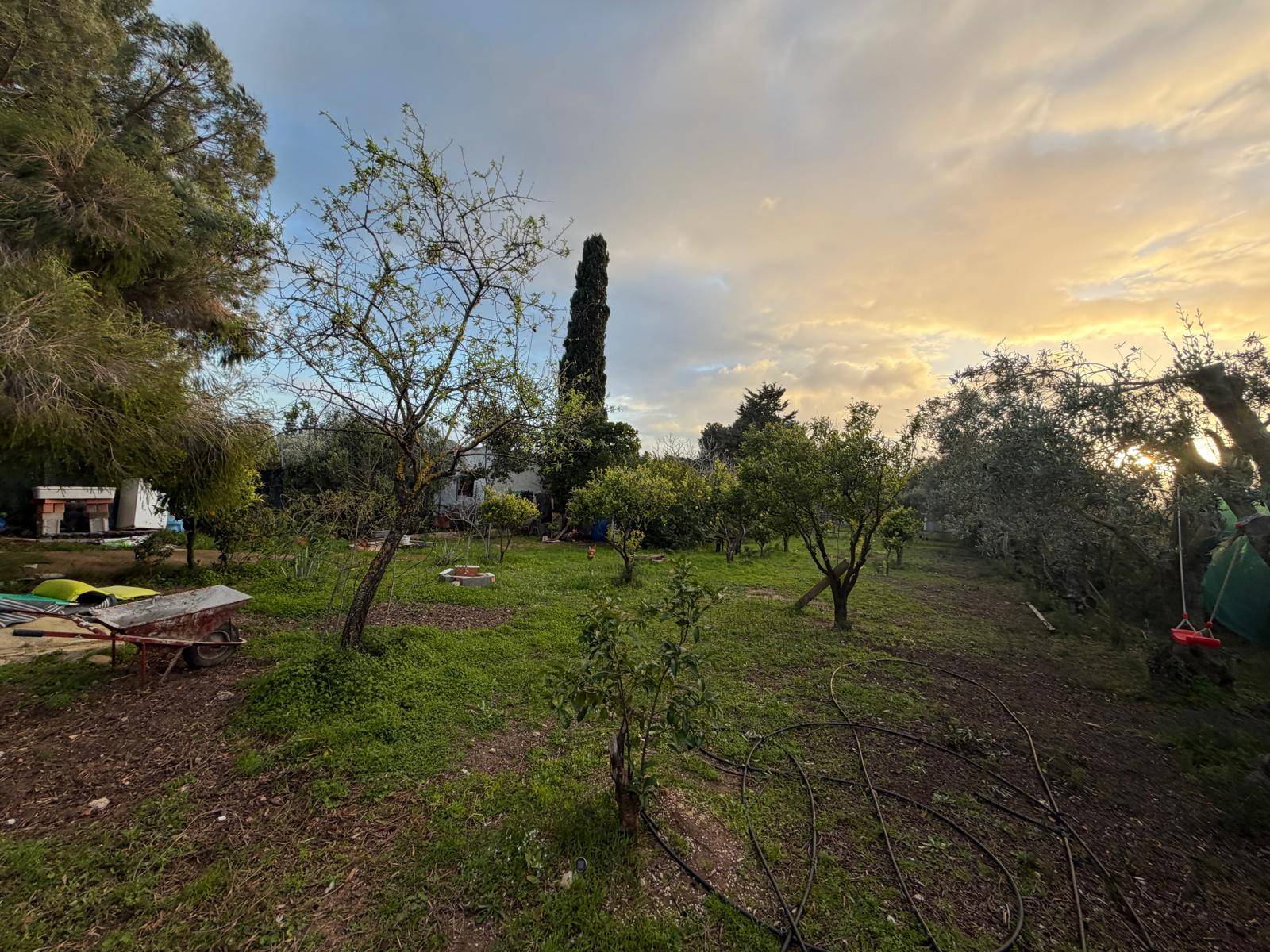 Terreno Agricolo in vendita a Quartucciu, Sant'Isidoro