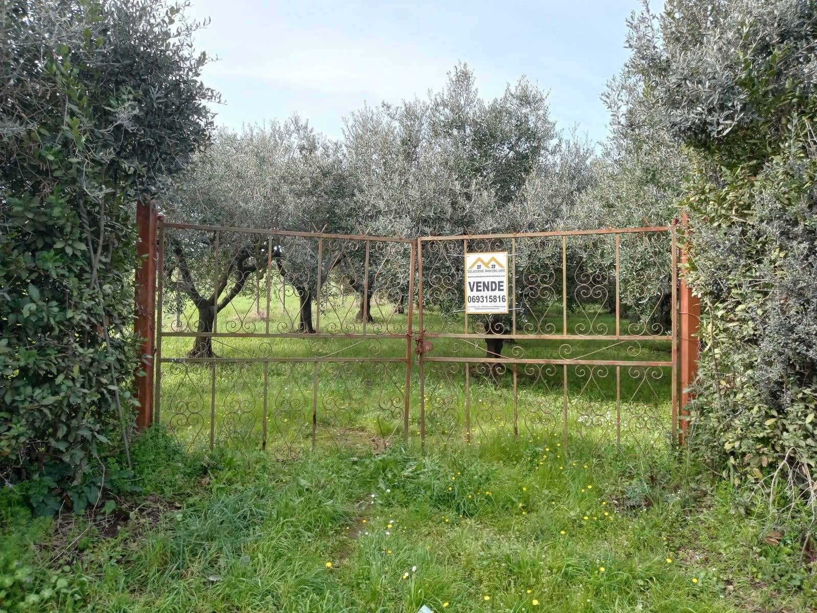 Terreno Agricolo in vendita a Roma