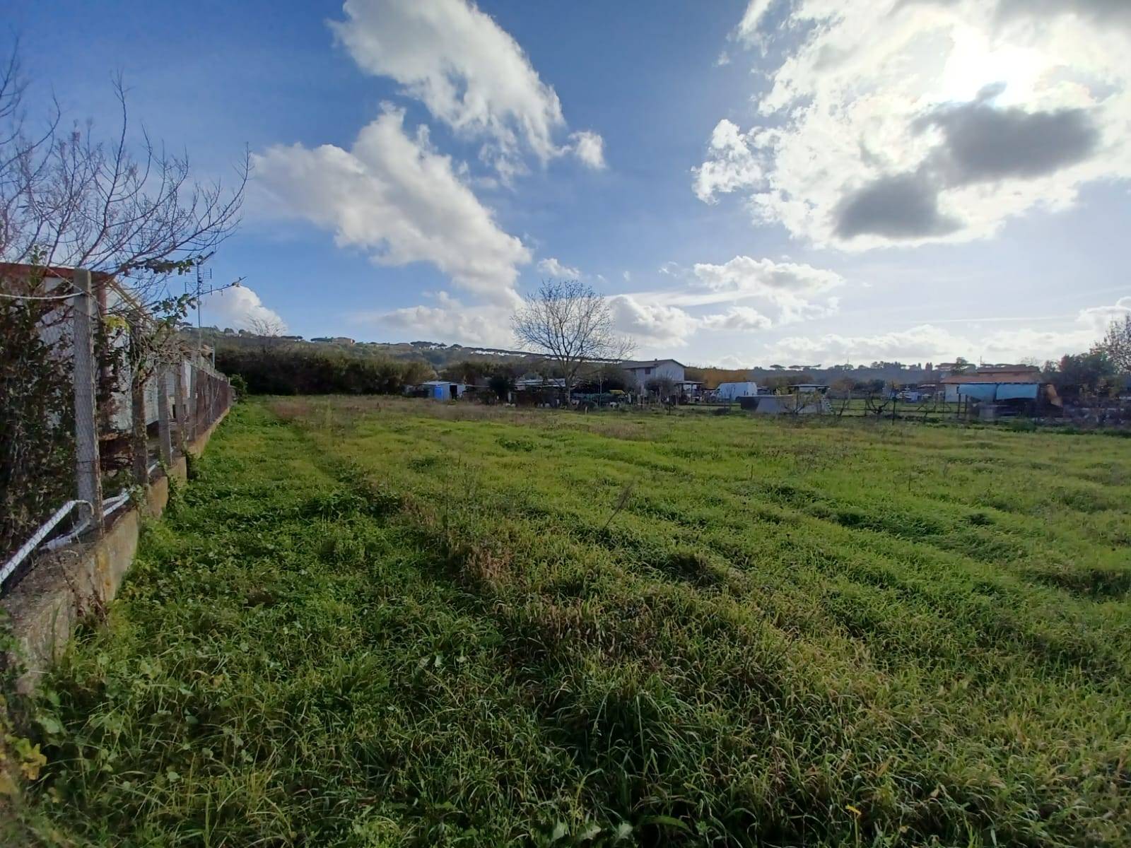 immagine annuncio 3 di 6