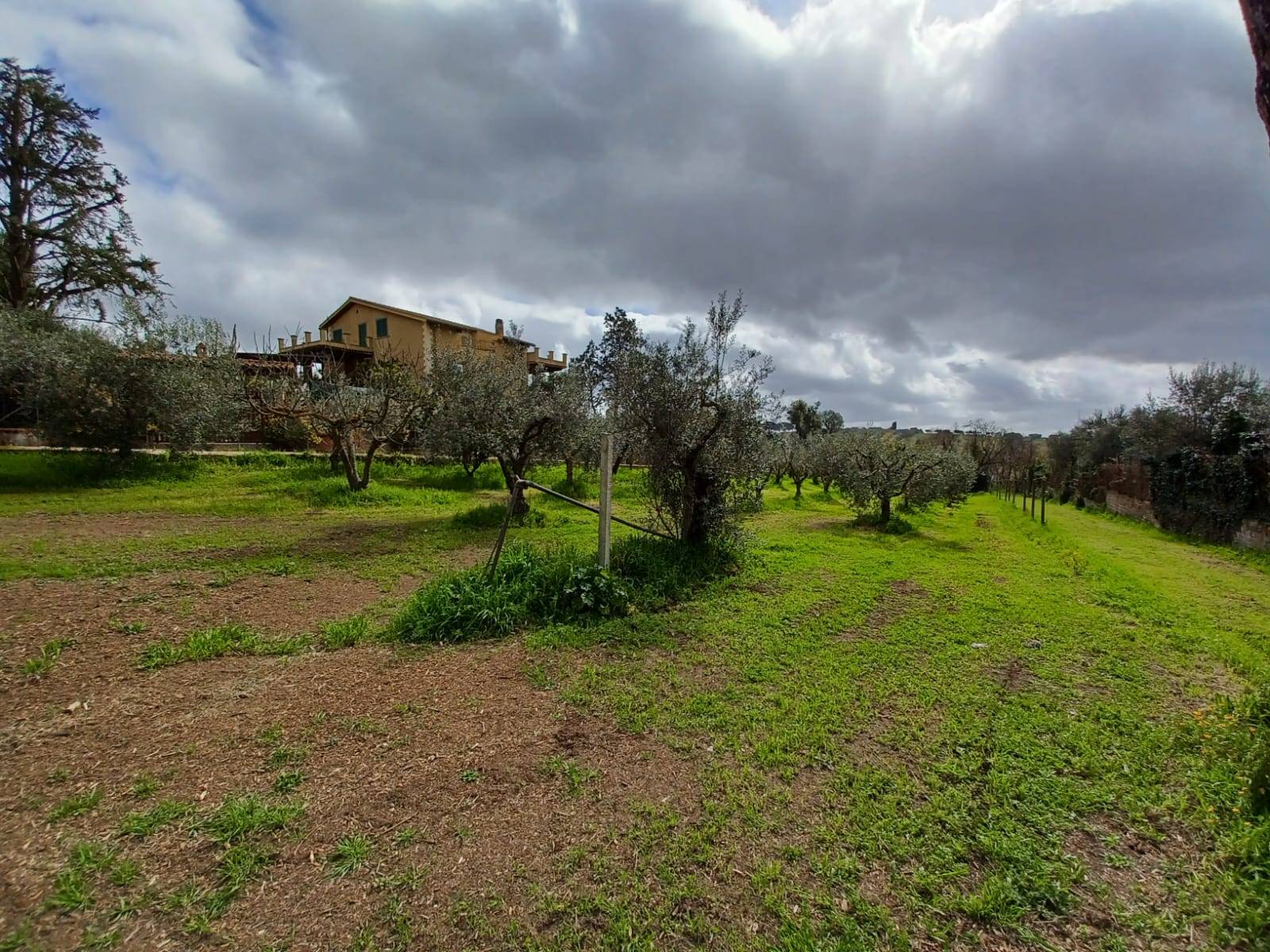 immagine annuncio 3 di 6