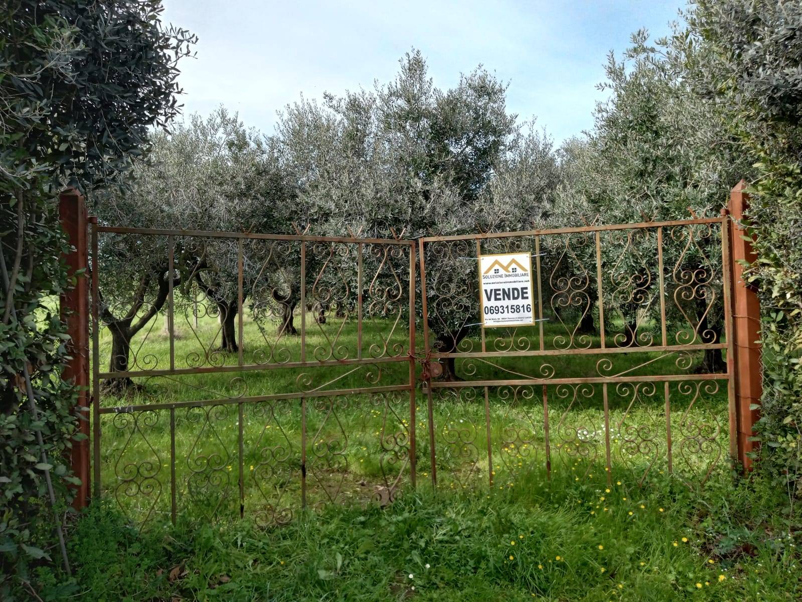 Terreno Agricolo in vendita a Roma