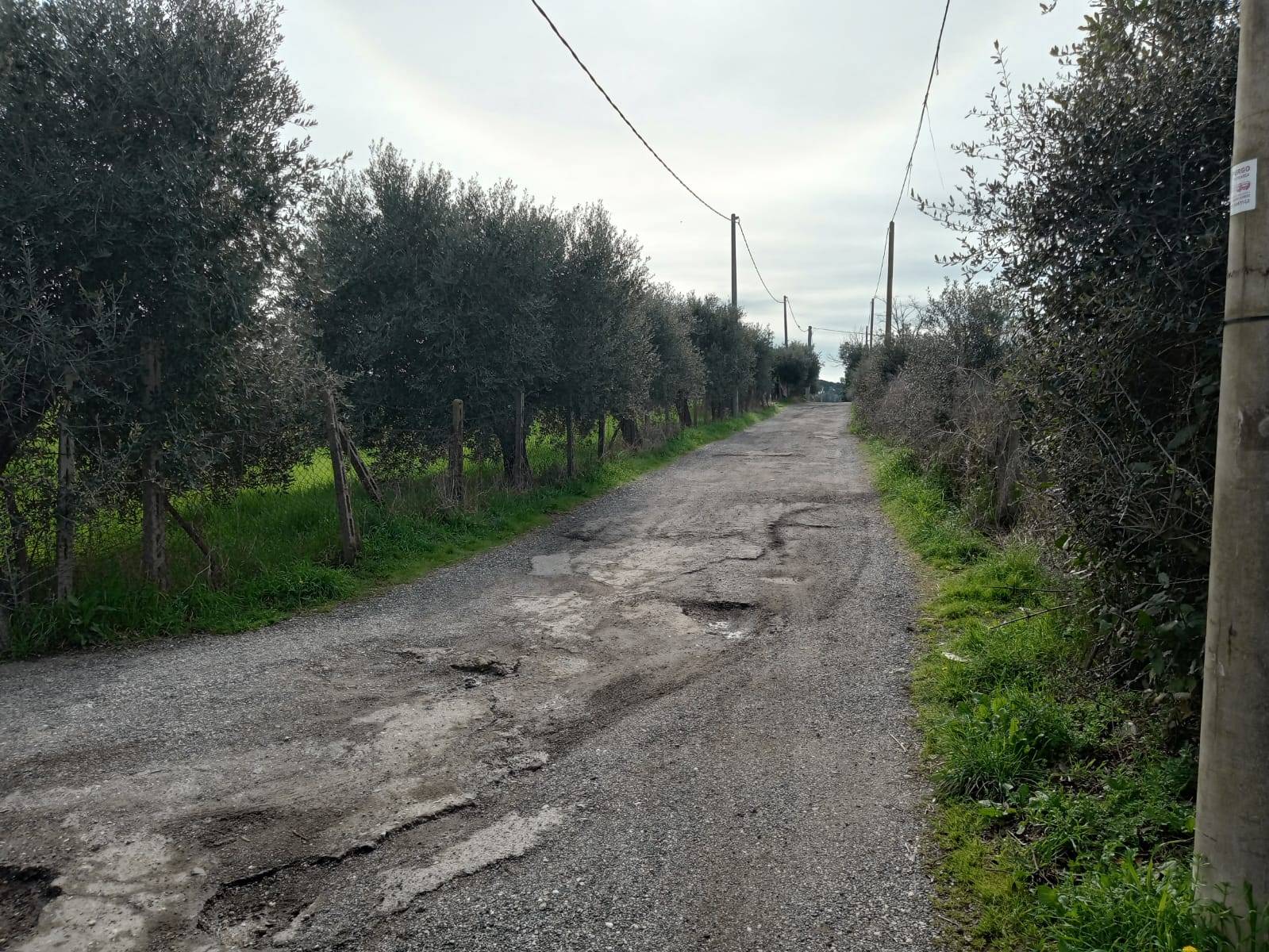 Terreno Agricolo in vendita a Roma