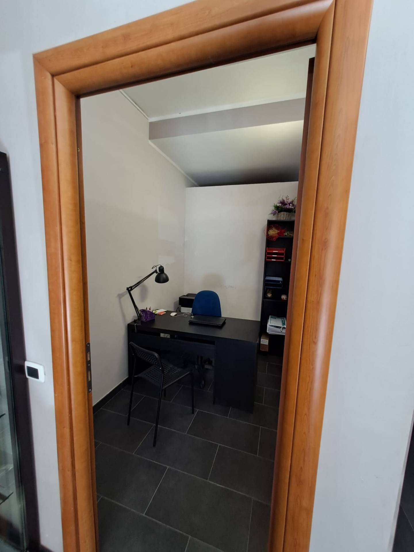 Studio/Ufficio in affitto a Ariccia