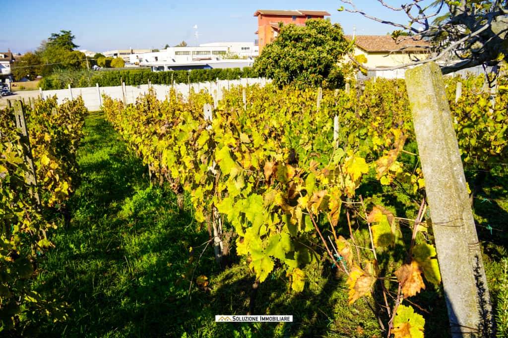 Terreno Agricolo in vendita a Albano Laziale, Pavona
