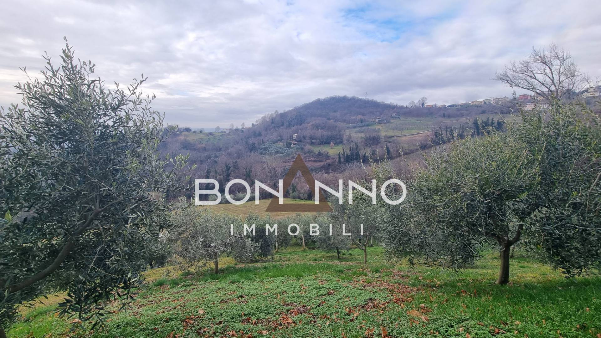 Terreno Agricolo in vendita a Vittorio Veneto