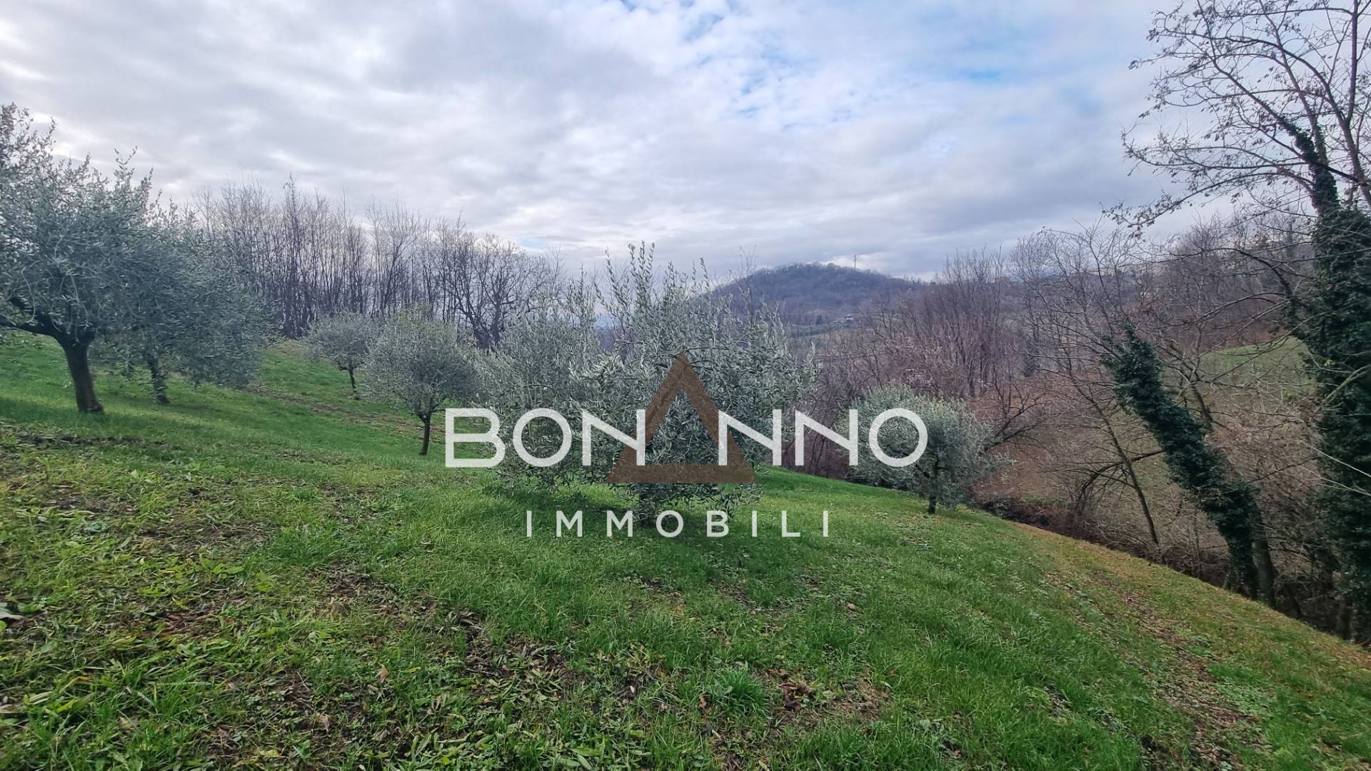 Terreno Agricolo in vendita a Vittorio Veneto
