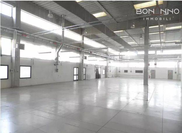 Capannone in affitto a Treviso, S. Maria del Rovere
