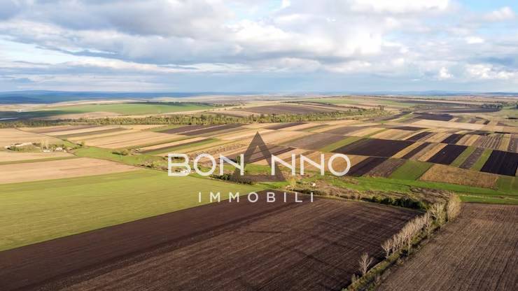Terreno Agricolo in vendita a Altivole