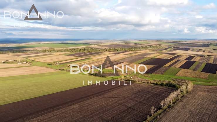 Terreno Agricolo in vendita a Vedelago