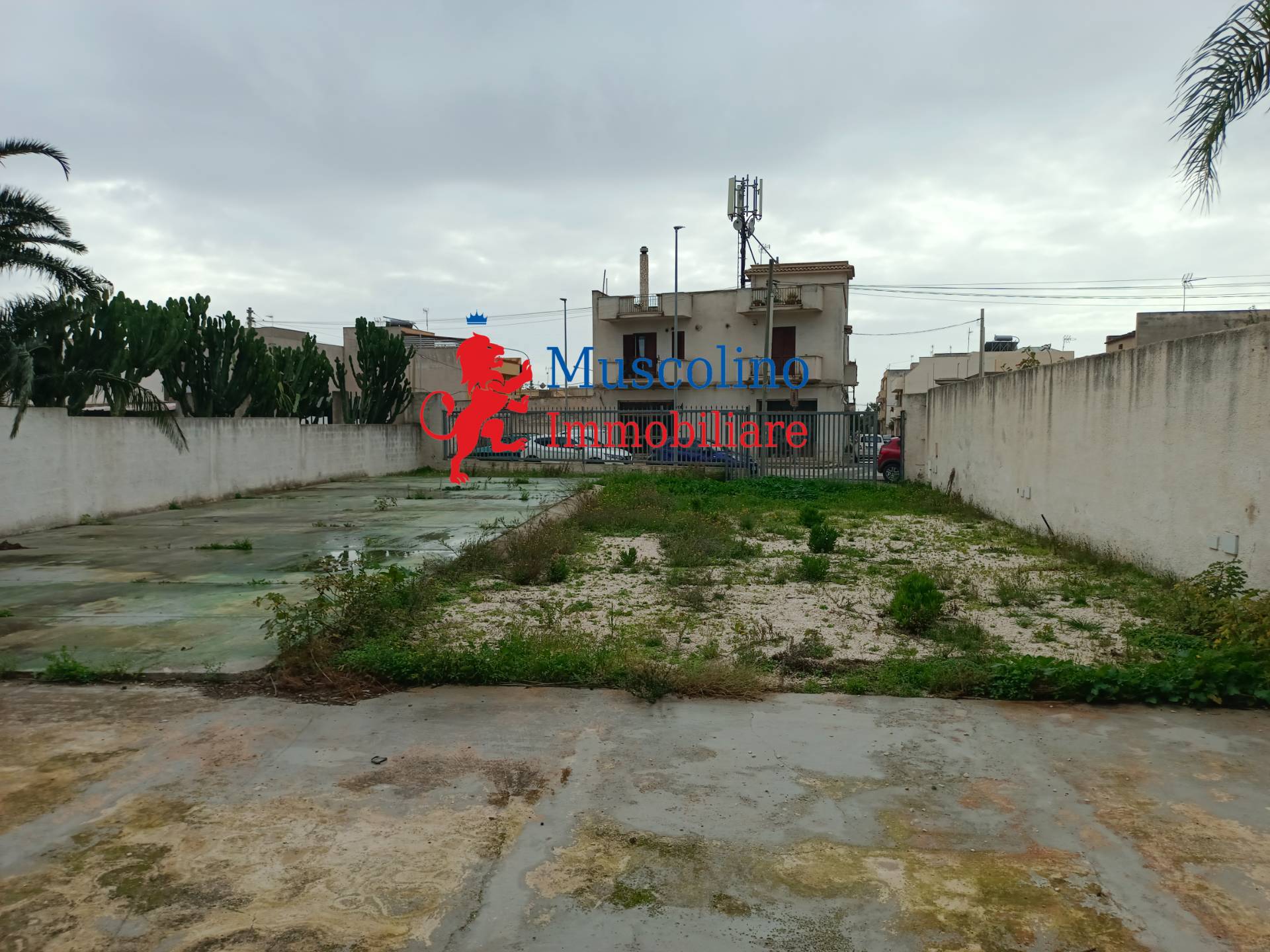 Terreno in affitto, Mazara del Vallo trasmazzaro