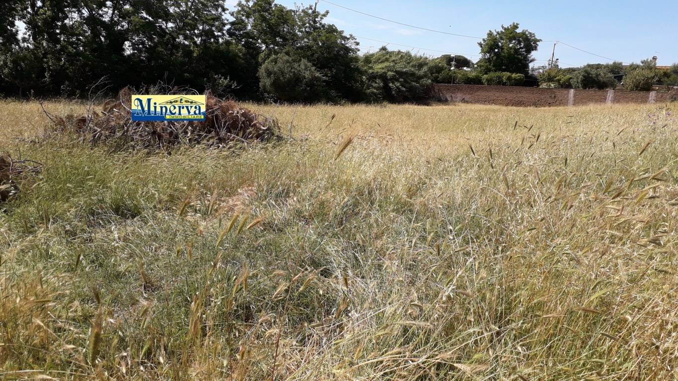 Terreno edificabile in vendita a Anzio