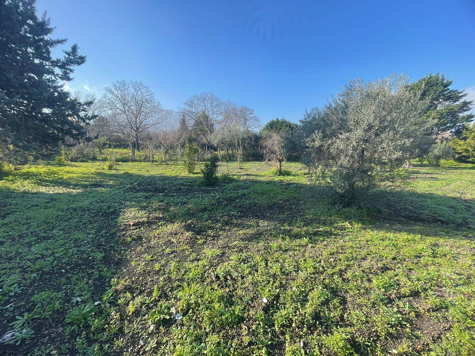 Casa singola in vendita a Somma Vesuviana