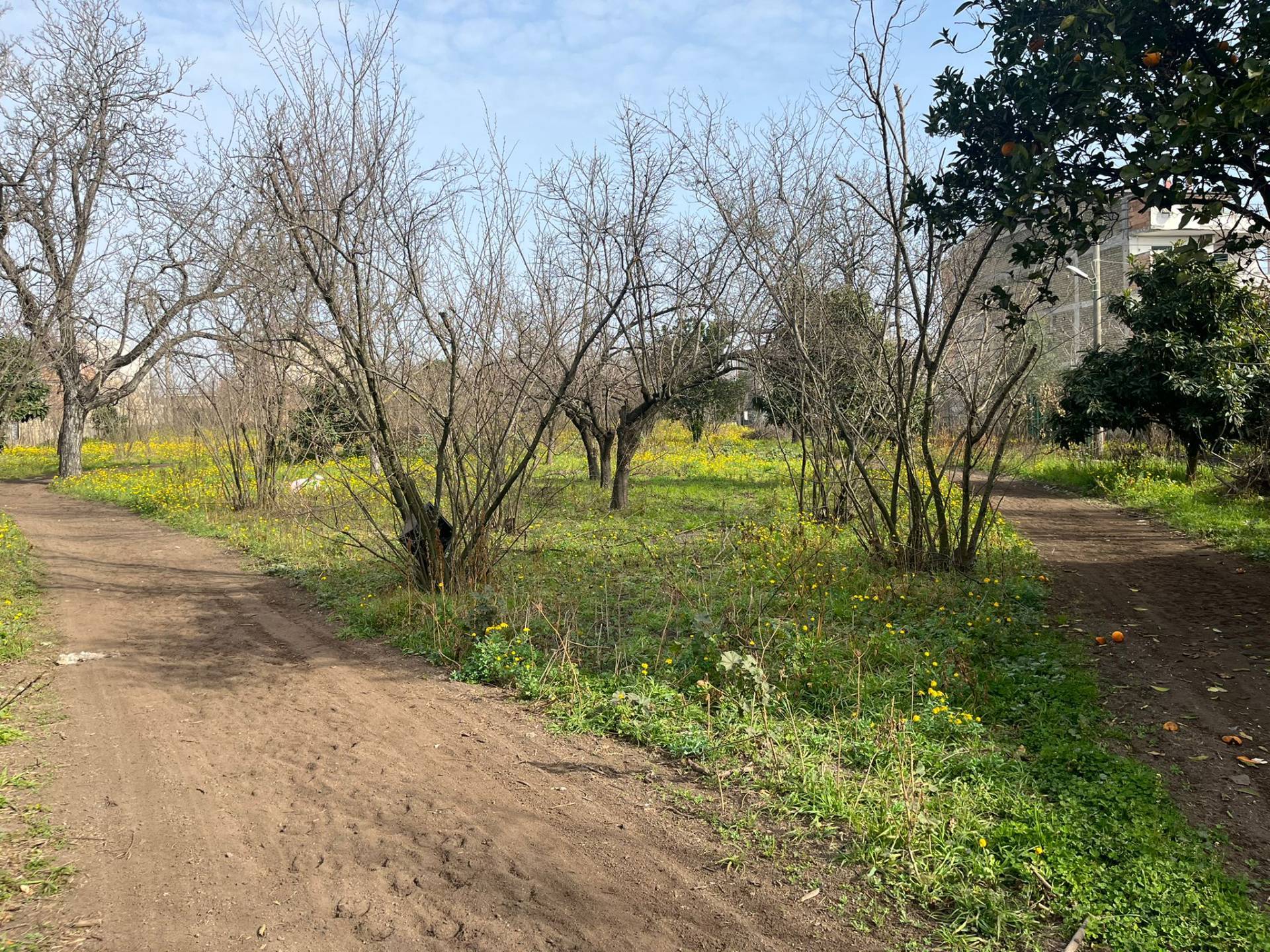 Casa singola in vendita a San Giuseppe Vesuviano