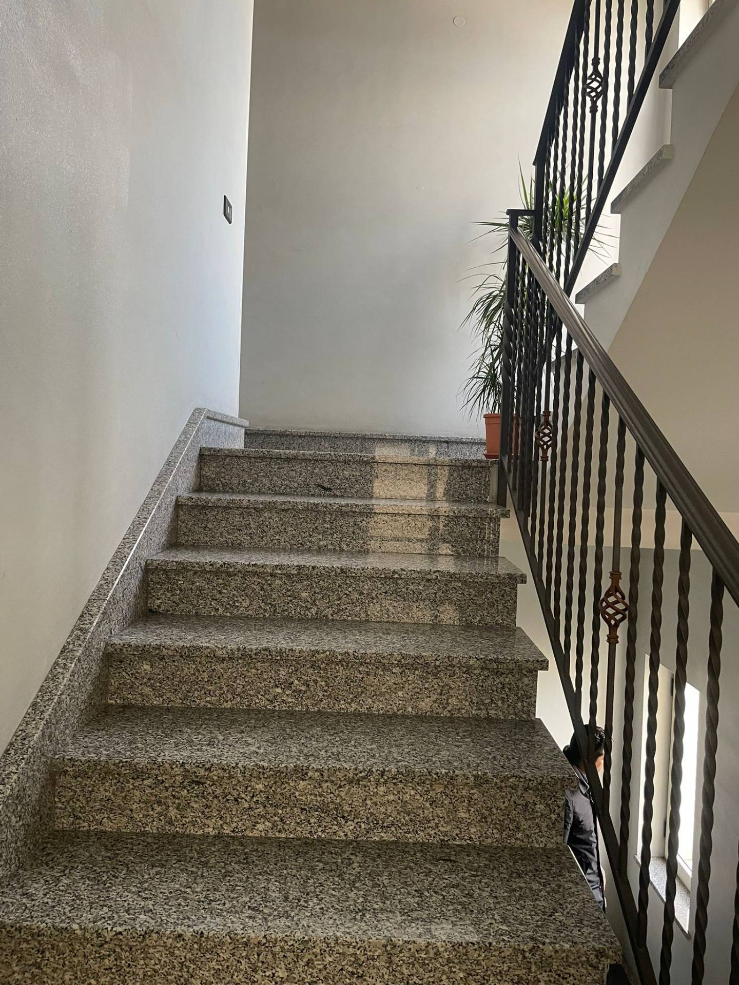 Appartamento in vendita a Ottaviano