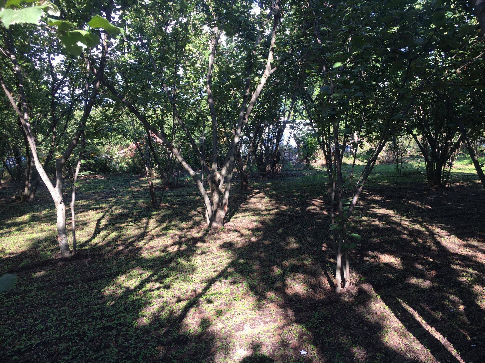 Rustico in vendita a Ottaviano