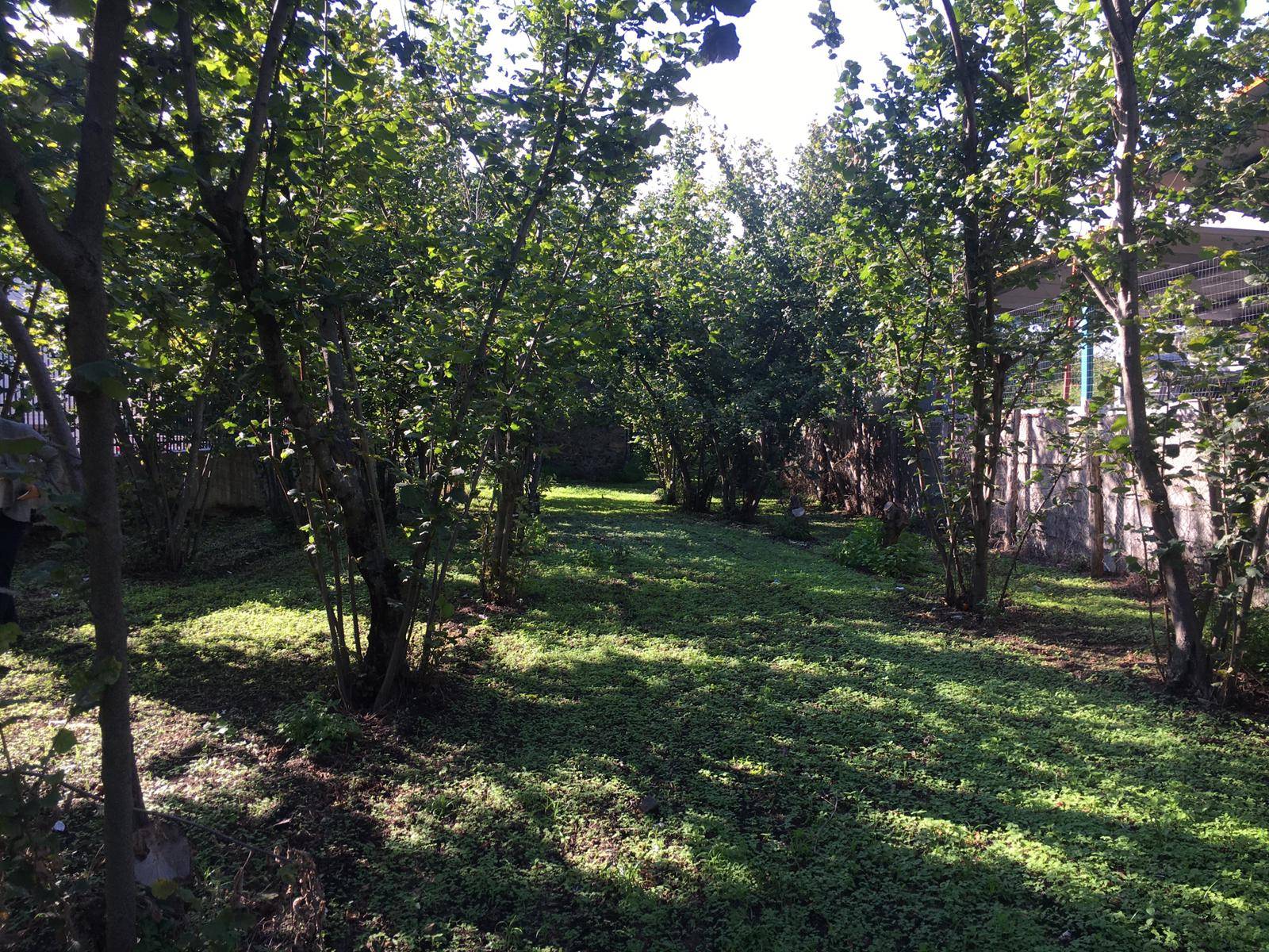 Rustico in vendita a Ottaviano