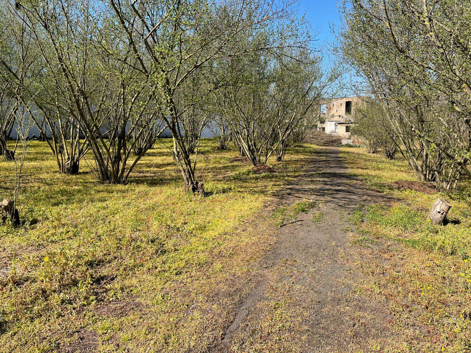 Rustico in vendita a Ottaviano
