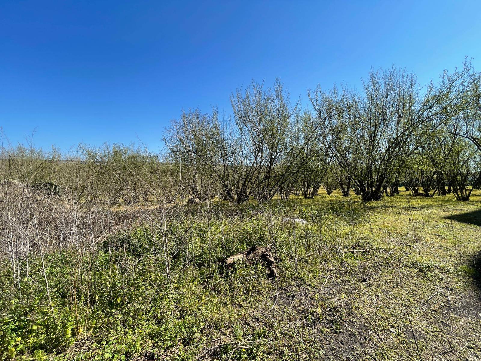 Rustico in vendita a Ottaviano