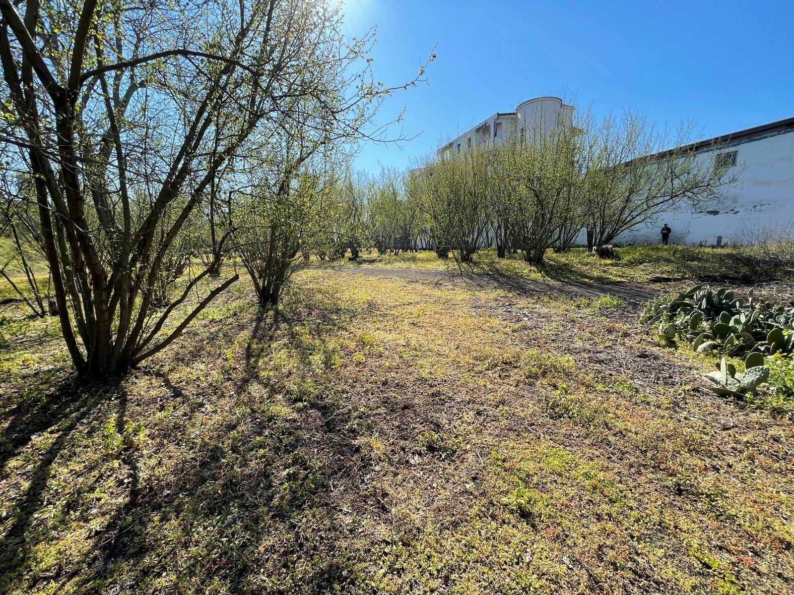 Rustico in vendita a Ottaviano