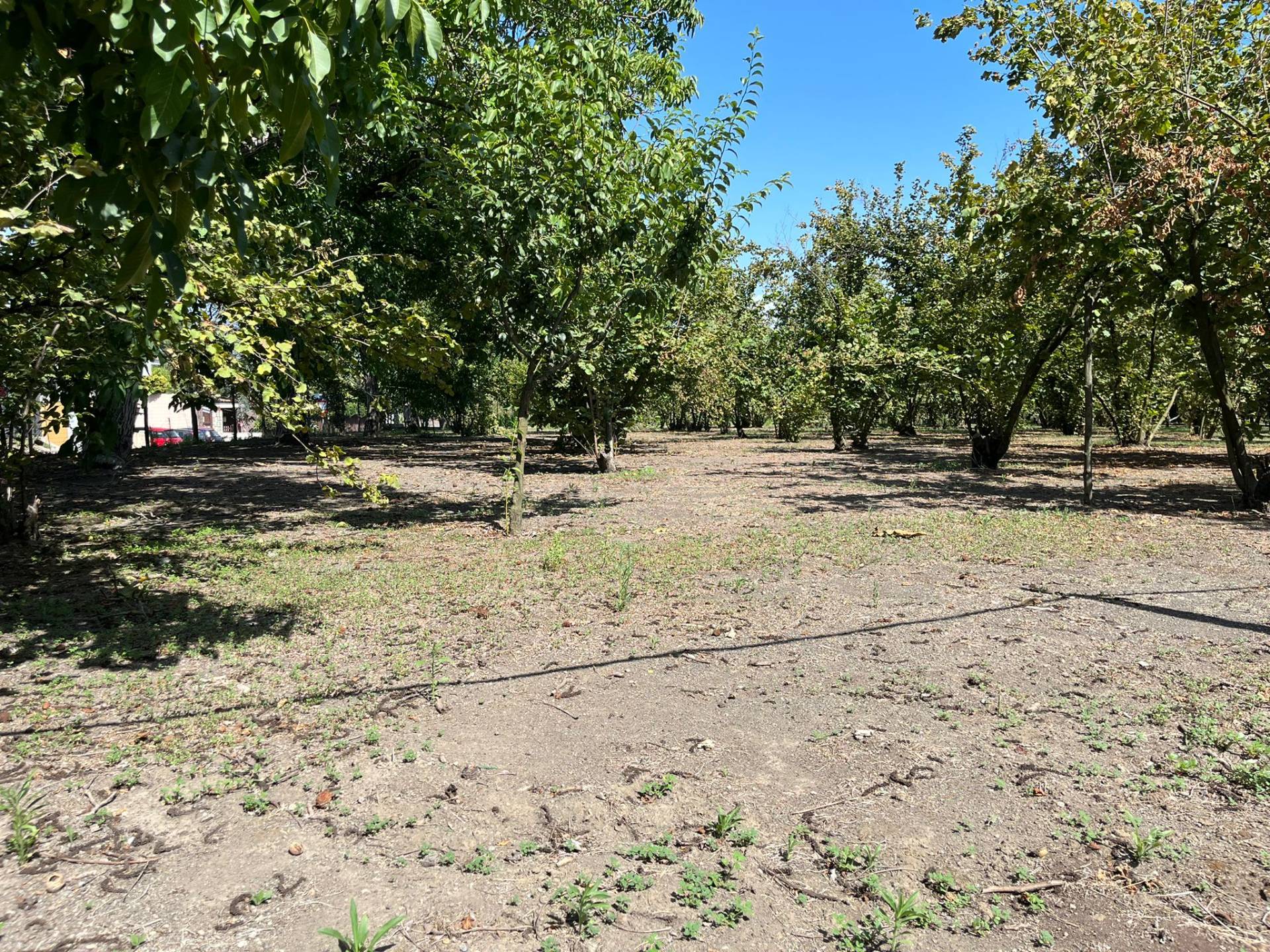 Terreno Agricolo in vendita a Poggiomarino