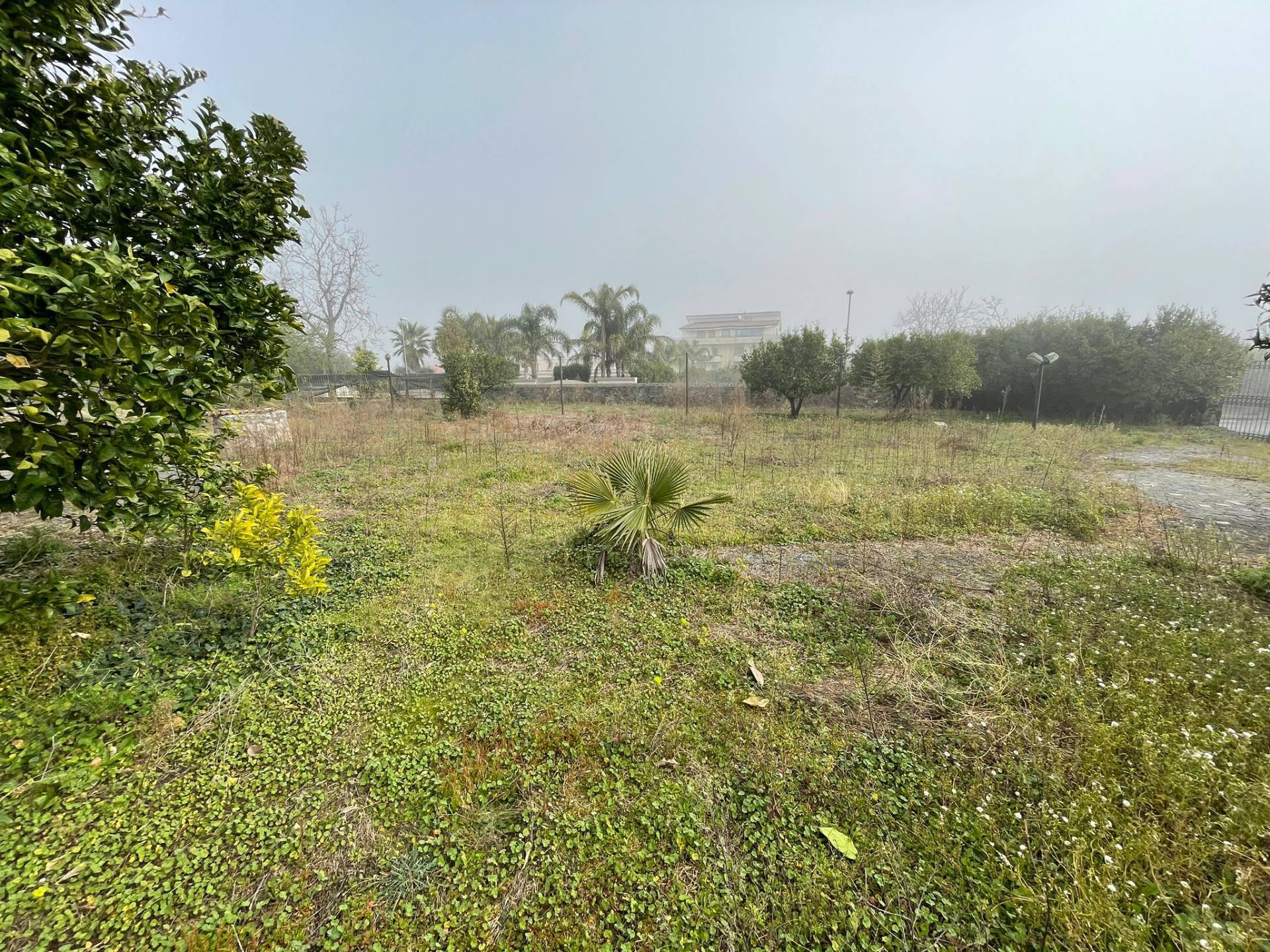 Casa singola in vendita a Ottaviano