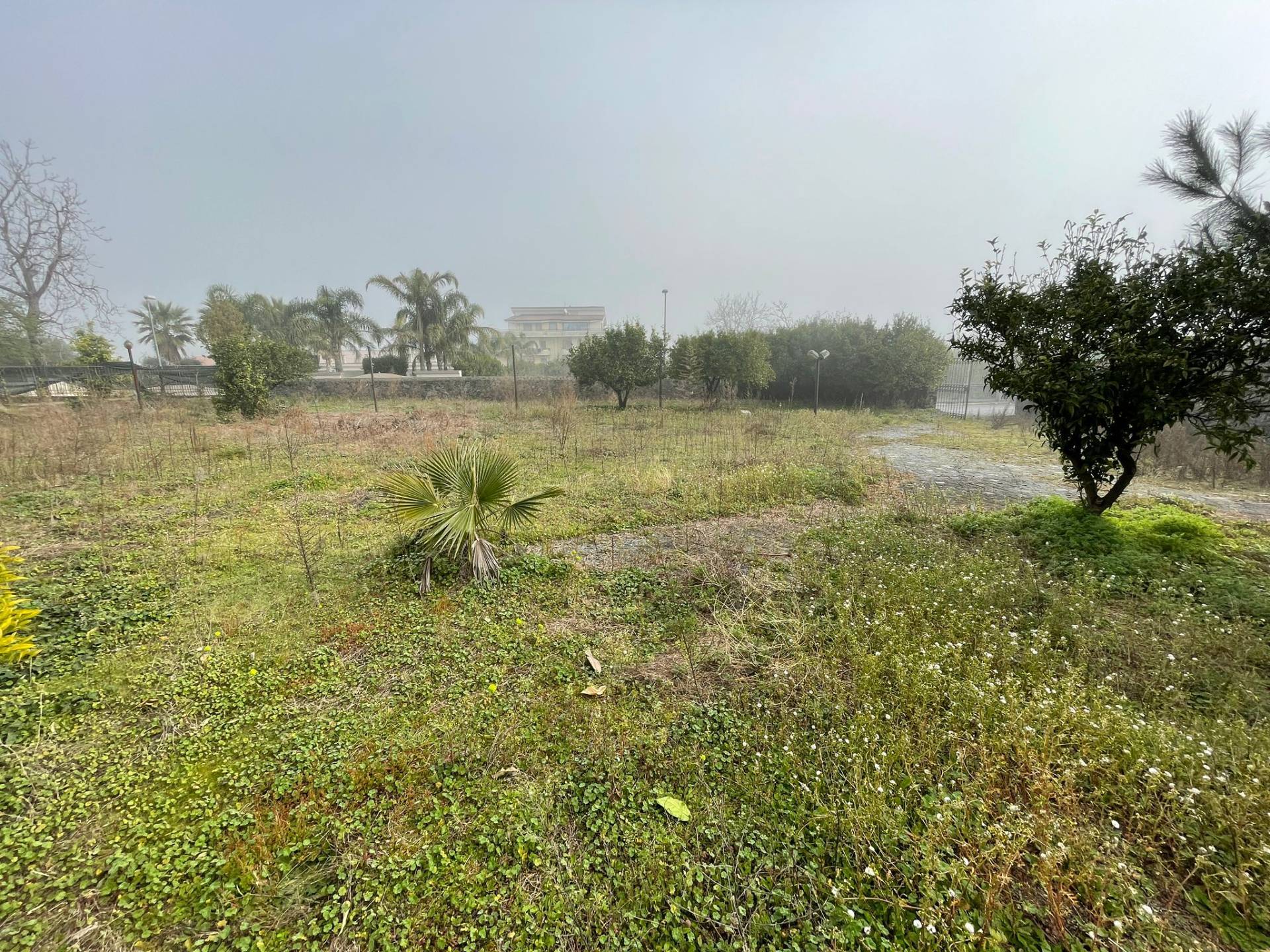 Casa singola in vendita a Ottaviano